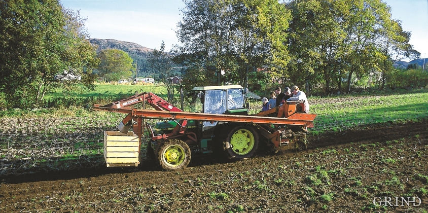 I dag er det berre nokre få bønder som dyrkar poteter i Fitjar.