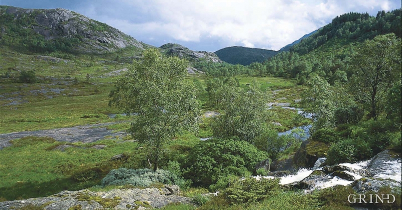 Kråmyrane (Svein Nord)