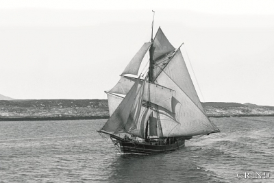Hardangerjakt for fulle segl på Trøndelagskysten