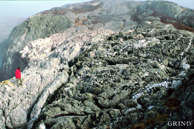 Bergartene på Litla Kalsøy i Austevoll