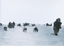 Arctic hunting folk on their way across the ice