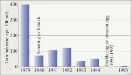 Tarmbakterier i Vangsvatnet fra 1979 til 1993. 