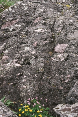 Berget på Holmengrå skil seg frå alt anna hordalandsfjell: Her er det konglomerat med kantete steinar i varierande storleikar av mellom anna rosa granitt, grå skifer og grønstein