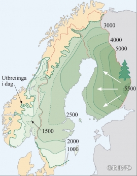 Spreiinga av granskogen frå aust mot vest i Skandinavia