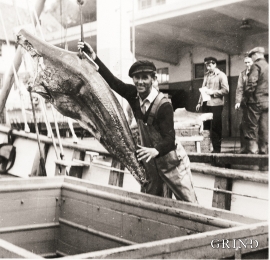 Halvdan Rong om bord i Rongøy, 1954.