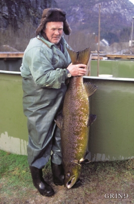 Odd Nese caught an 18.5 kg male during a fishing contest in November, 1988 