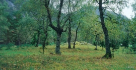 Burial mounds at Hæreid