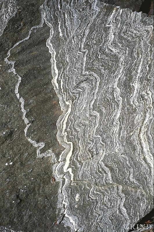 Folded gneiss in a road cutting