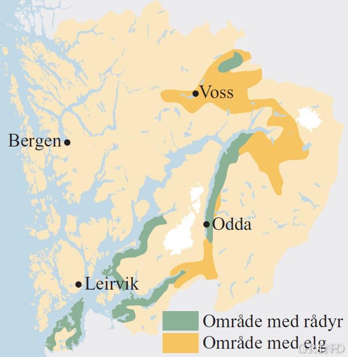 Utbreiinga av rådyr og elg i Hordaland like før siste hundreårsskifte