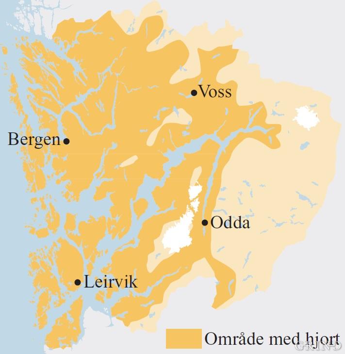 Hjorten finst i alle kommunar i Hordaland, men dei store samanhengande fjellområda i indre strok har ikkje ei fast stamme.