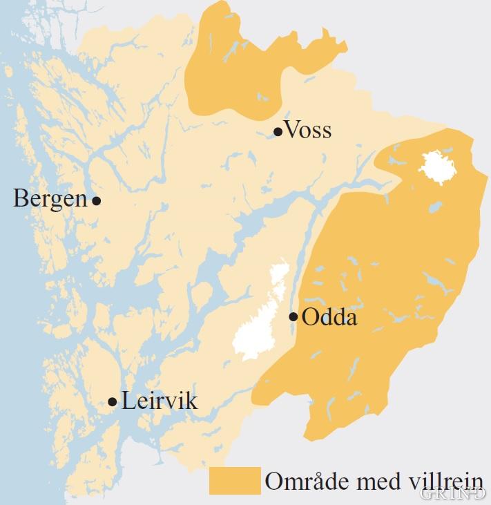 Utbreiinga av villrein i Hordaland ved siste hundreårsskifte